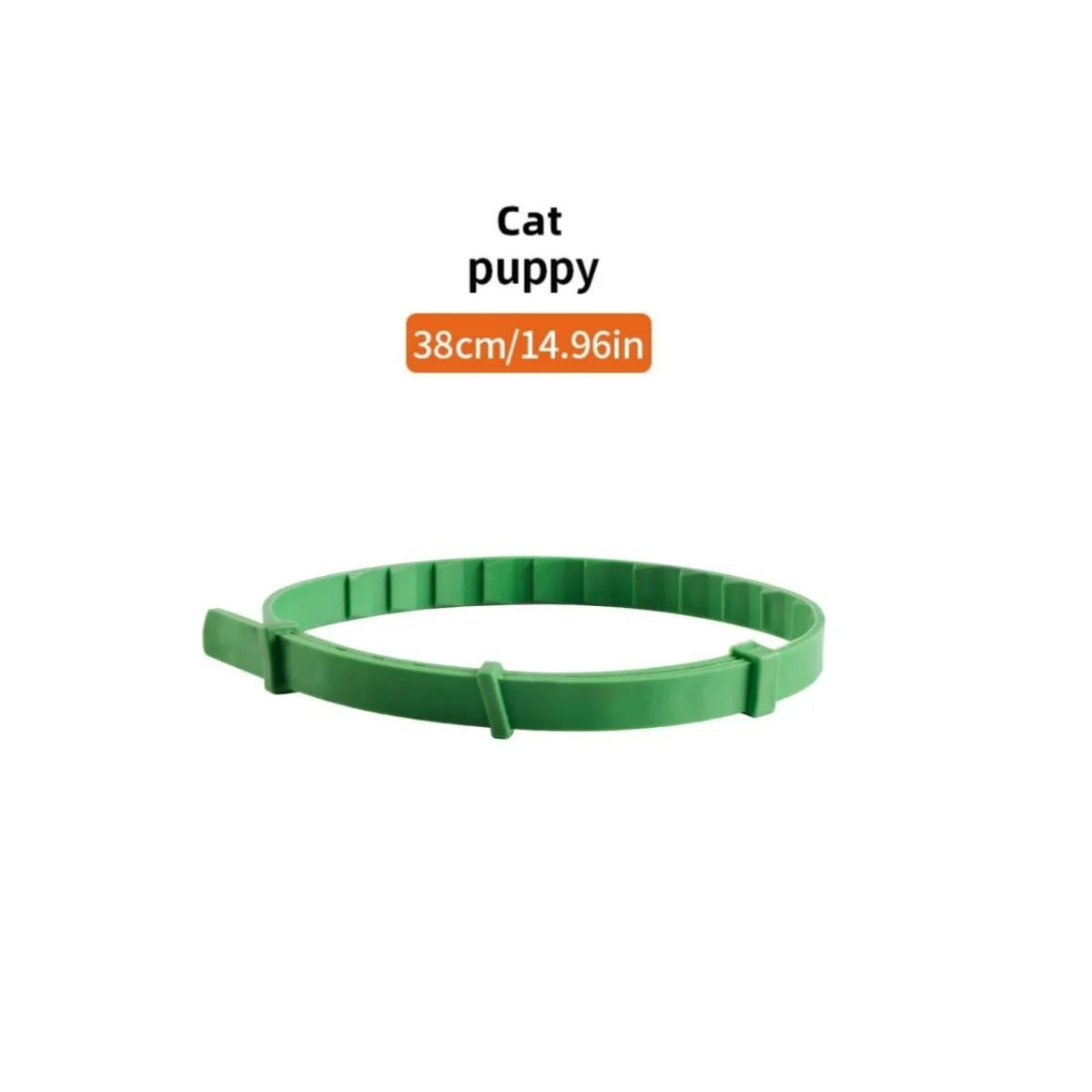 A green adjustable waterproof pet collar for a cat puppy.