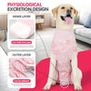 Dog Recovery Suit – Anti-Licking Protective Onesie for Post-Surgery & Wound Care