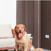 Foldable Elevated Pet Bed with Removable Washable Cover