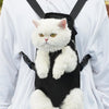 A white cat is sitting inside a black breathable pet carrier backpack worn on the chest of a person wearing a white hoodie.