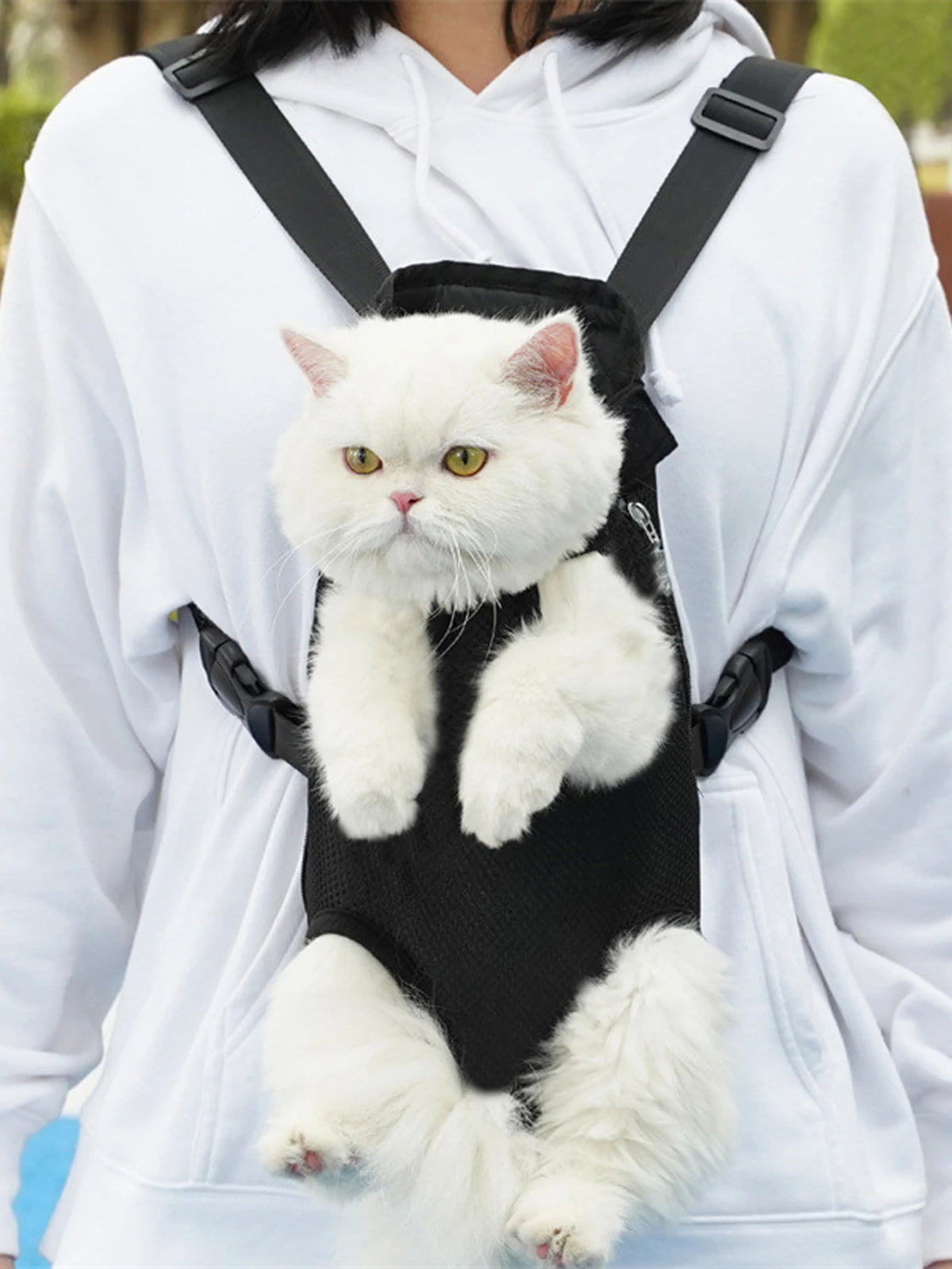 A white cat is sitting inside a black breathable pet carrier backpack worn on the chest of a person wearing a white hoodie.