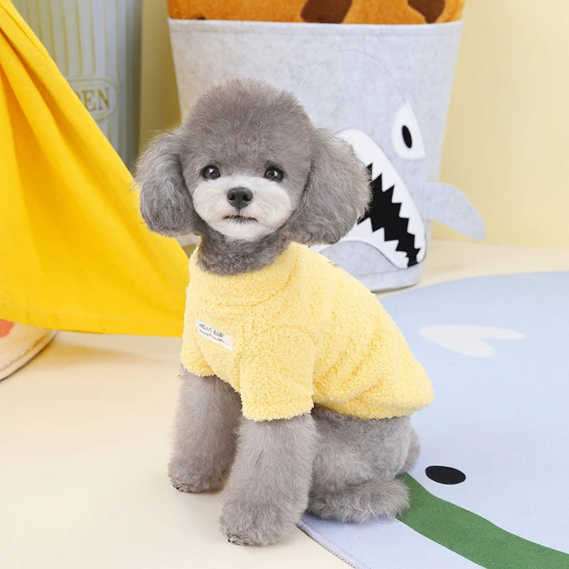 Un pequeño perro de peluche parecido a un caniche gris vistiendo un abrigo tejido amarillo, sentado sobre una superficie clar