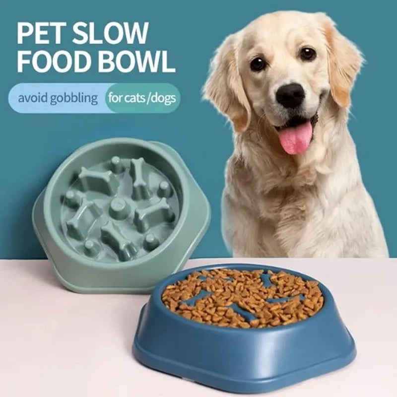 A golden retriever dog is looking at a blue slow feeder bowl filled with kibble.