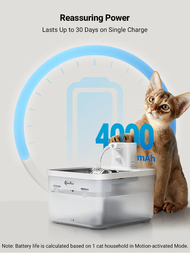 Fontaine à eau automatique pour chat en acier inoxydable