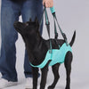 Dog Lift Harness with Handle for Mobility Support