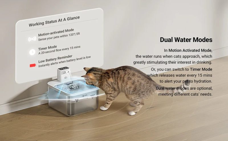 Fontaine à eau automatique pour chat en acier inoxydable