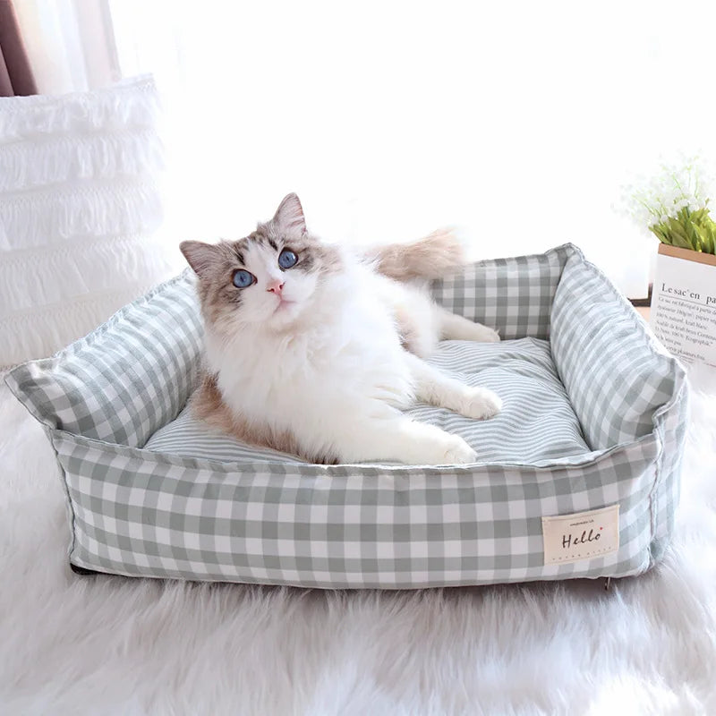 Un chat gris et blanc et duveteux se détend sur un lit/canapé en coton moelleux à motif à carreaux.