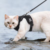Ausbruchssicherer Katzengeschirr mit Leine