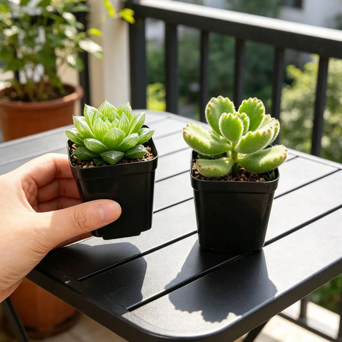 Mini Square Plastic Plant Pots with Drainage Holes for Seed Starting