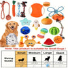 A collection of squeaky plush dog toys including a orange bone, green pumpkin, and various fabric toys for small dogs.