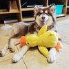 Jouet pour chien en peluche interactive : Canard