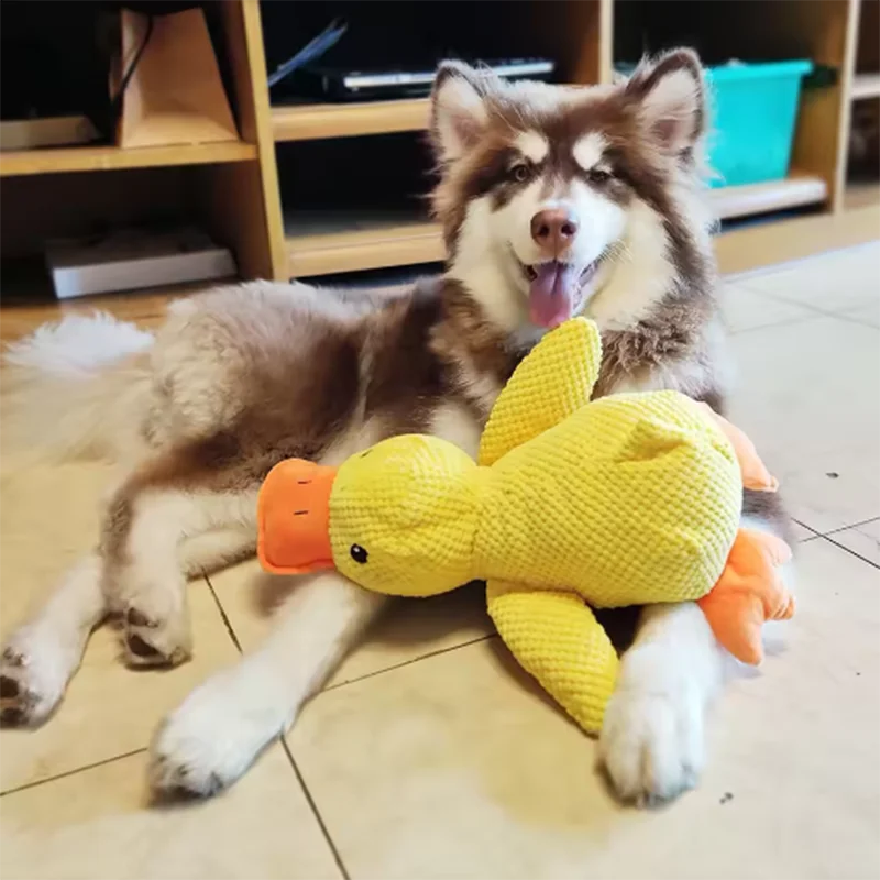 Plush Duck Comfort Toy for Dogs