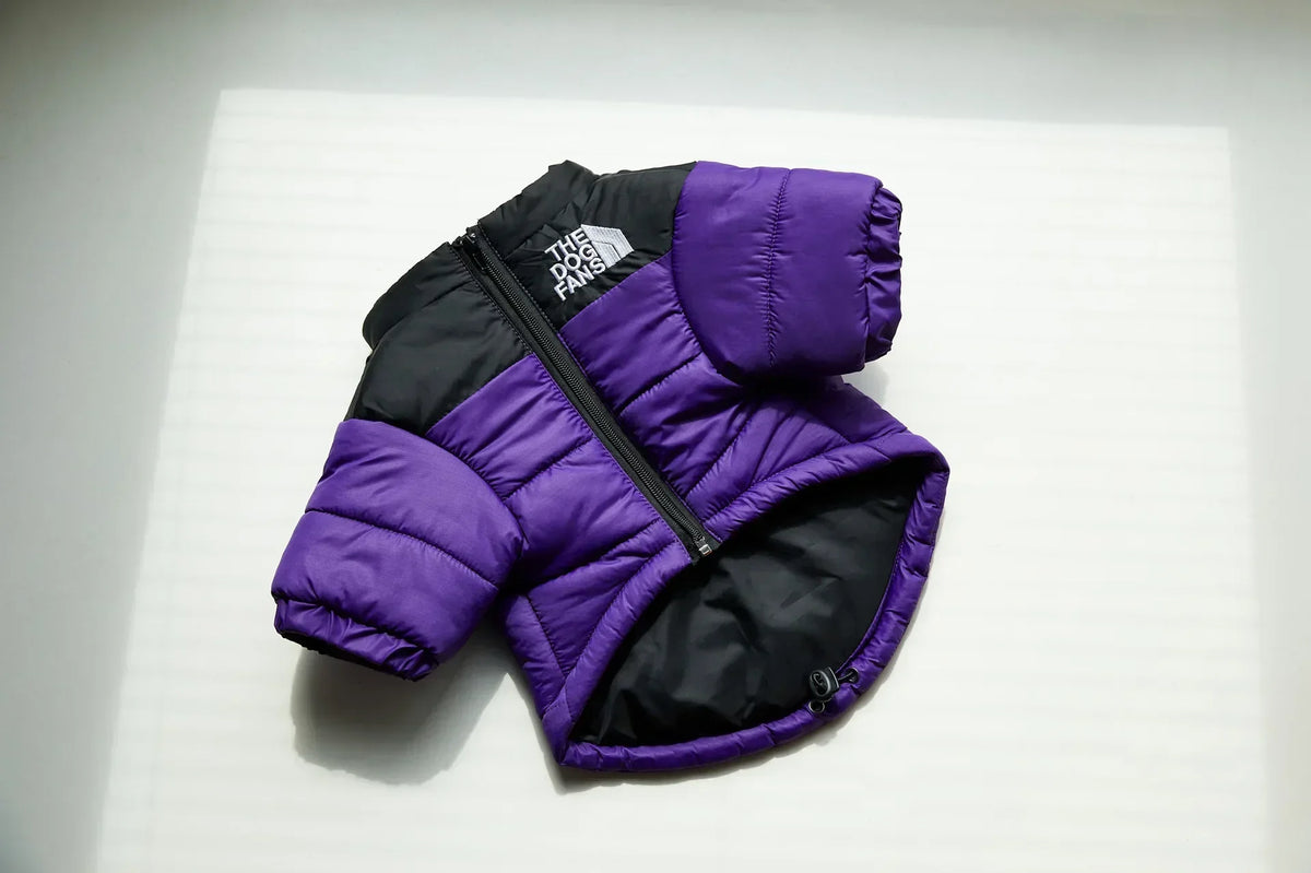 A purple and black quilted winter coat for a dog, shown flat against a white background.