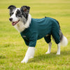 Cozy High-Collar Dog Pajamas – Four-Legged Sleepwear for Large Breeds