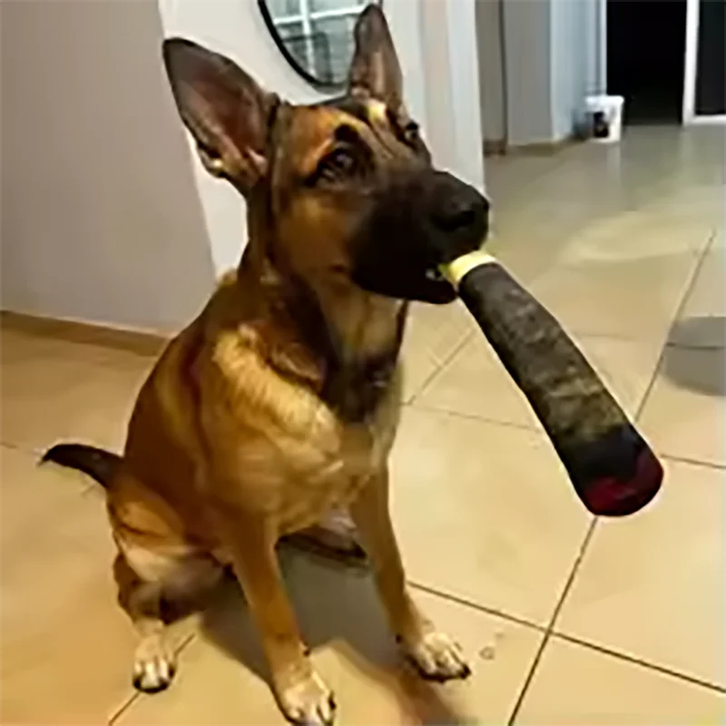 Cigar-Shaped Squeaky Plush Dog Toy for Interactive Play and Teeth Care