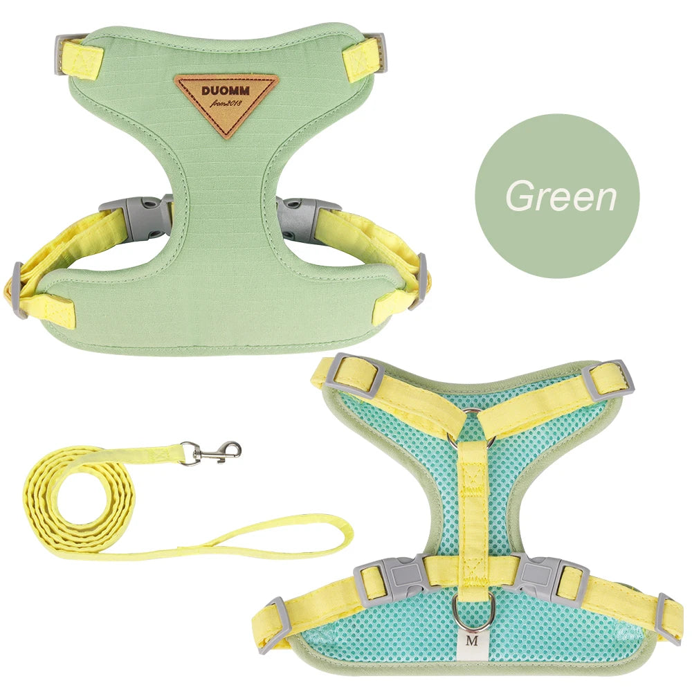 Harnais et laisse pour animal en tissu vert clair rembourré avec accents jaunes.
