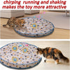 Intelligenter interaktiver Katzenspielball mit Ladeetui