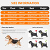 Adjustable Dog Life Vest for Swimming and Water Safety