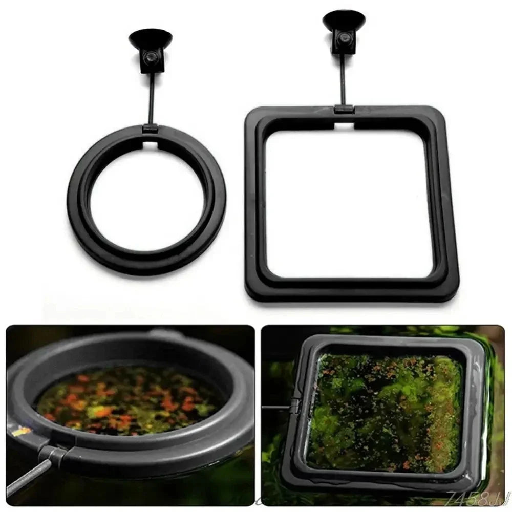 Black aquarium feeding ring with a suction cup and a square feeding tray.