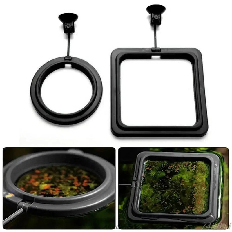 Anillo de Alimentación para Acuario con Ventosa
