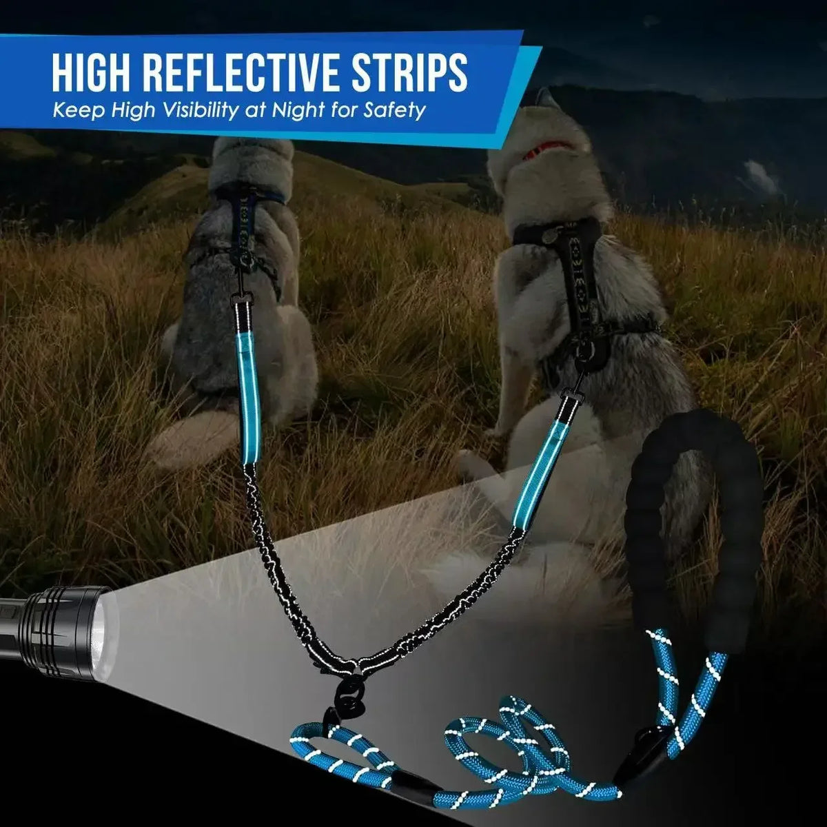 A dog wearing a high reflective striped leash with dual traffic handles against a natural outdoor background.