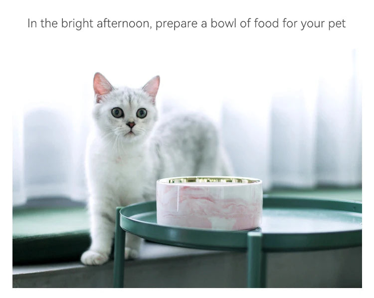 A white cat looks at a pink marbled ceramic pet bowl resting on a green wooden stand.