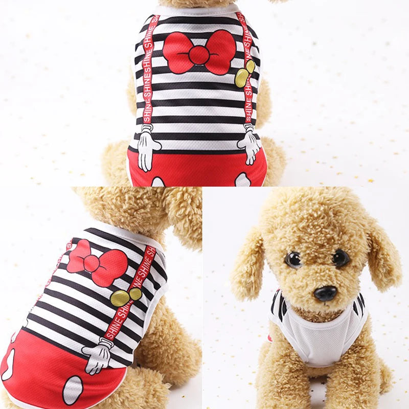 Un chien duveteux portant un gilet rayé rouge et blanc avec un nœud rouge et des accents dorés.