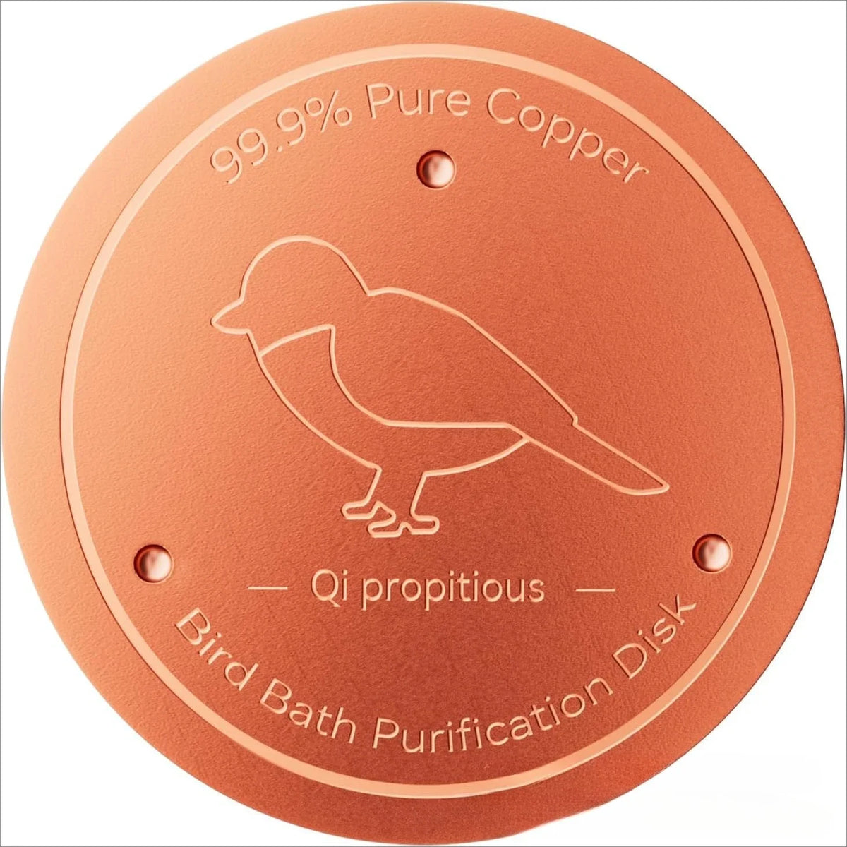 Copper Bird Bath Cleaning Disc with Stable Triple-Point Support