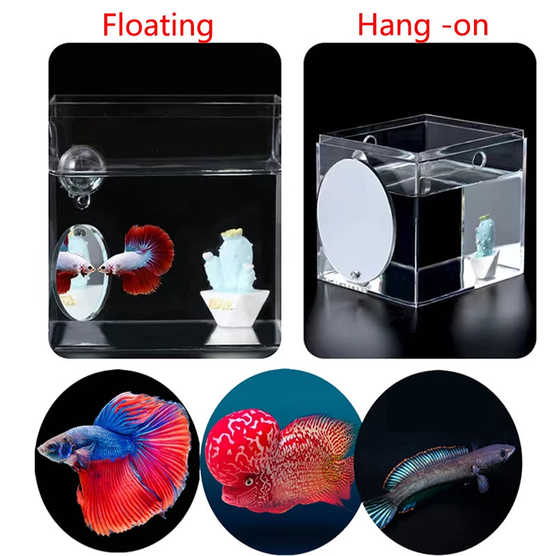 Espejo de Acrílico Flotante para Peces Betta