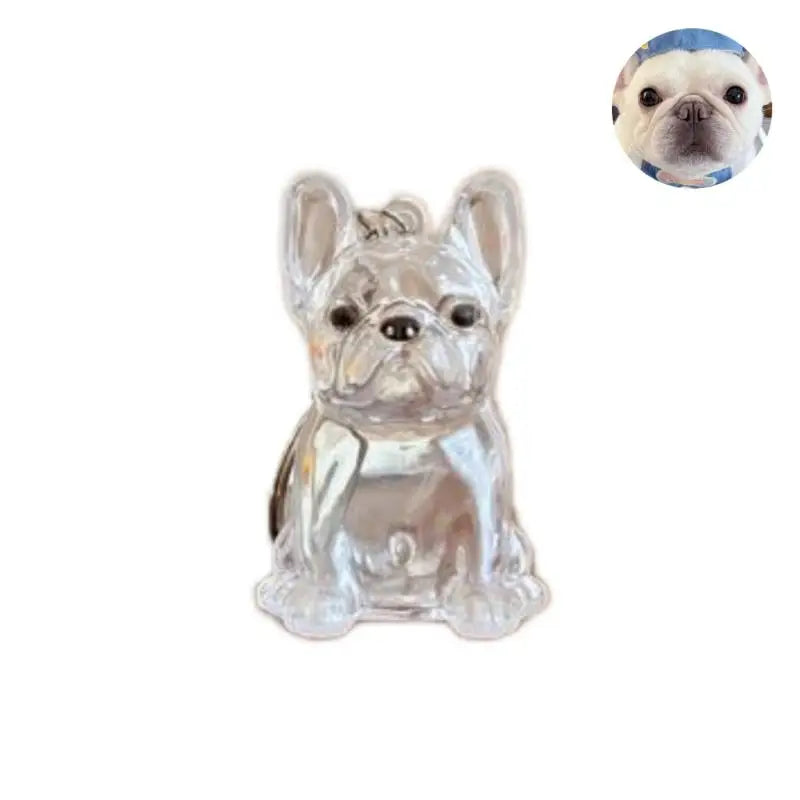 Pet Hair Keepsake Keychain with Transparent Capsule