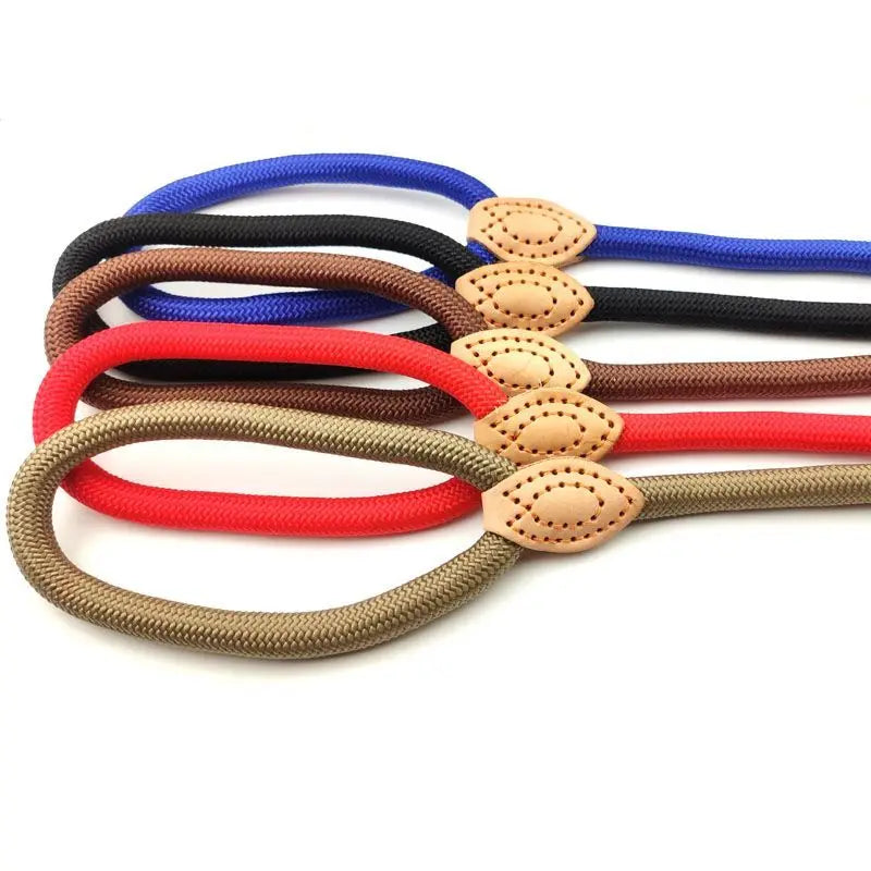 Verstellbare Nylon-Hundeleine mit Geschirr