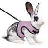 Un lapin blanc portant une laisse noire et un harnais en filet rose.