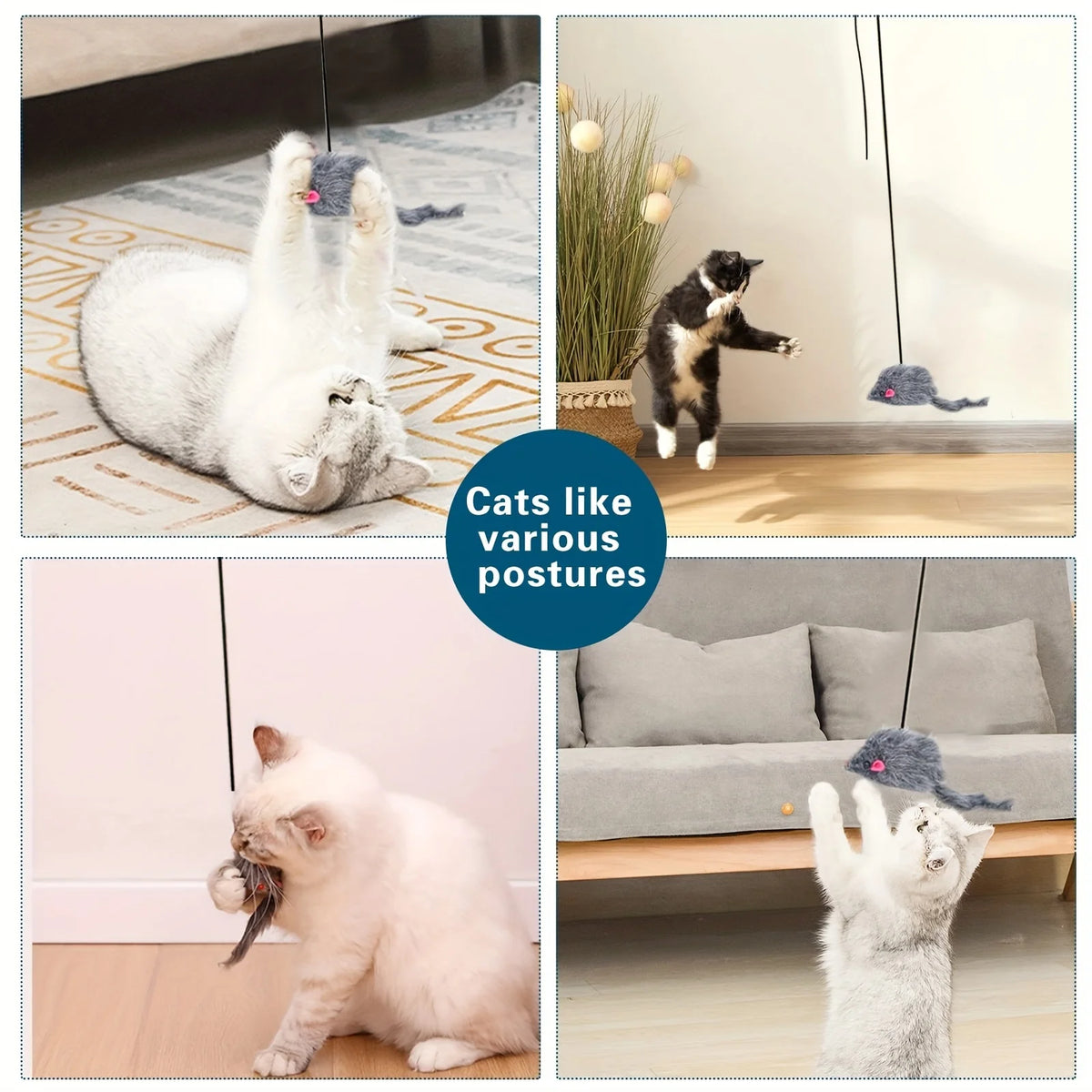 Un chat est montré dans diverses postures interagissant avec un jouet interactif suspendu à une porte.