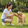 Squeaky Sausage Plush Chew Toy for Dogs