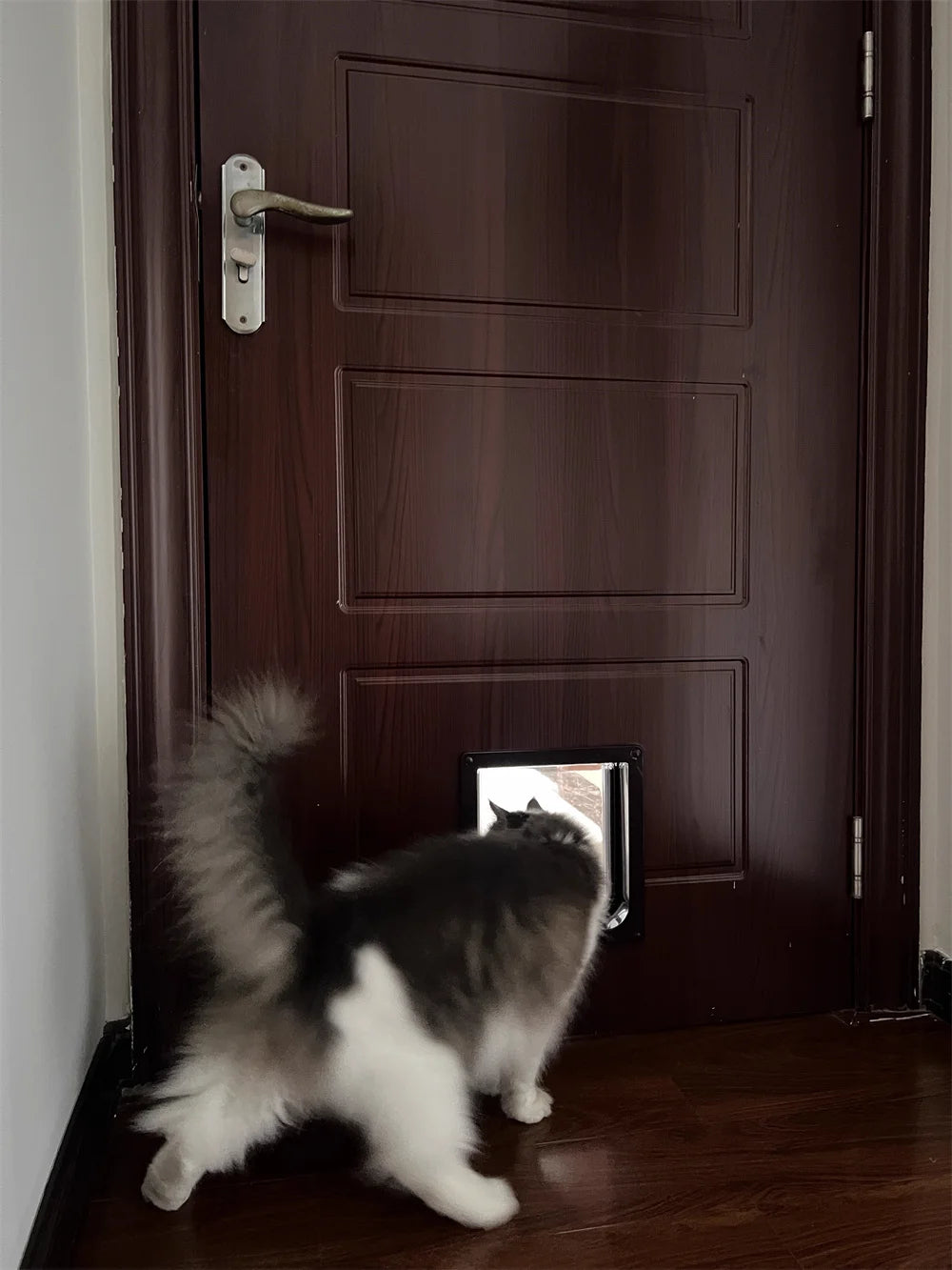 Weatherproof Pet Door Flap with 4-Way Locking Security