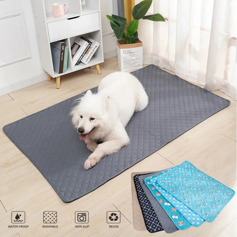 Un chien blanc est allongé sur un tapis d'entraînement gris, lavable et antidérapant à l'intérieur.