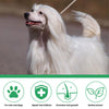 Soothing Pet Skin Care Spray for Itch Relief & Fur Regrowth