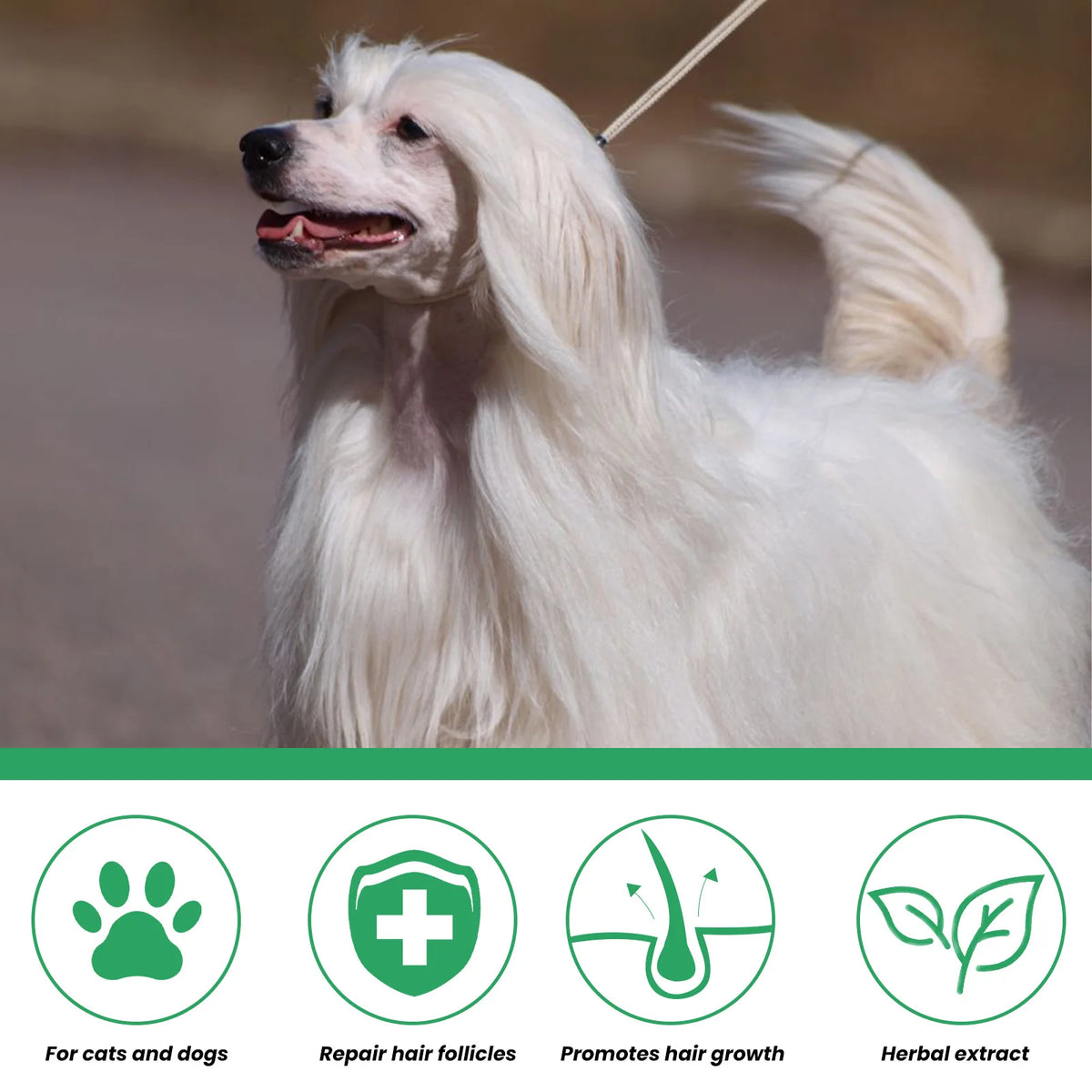 Soothing Pet Skin Care Spray for Itch Relief & Fur Regrowth