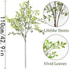 Illustration showing lifelike bamboo stems and vivid green leaves for a vase filler set.