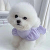A fluffy white dog wearing a lavender pet dress with flutter sleeves.