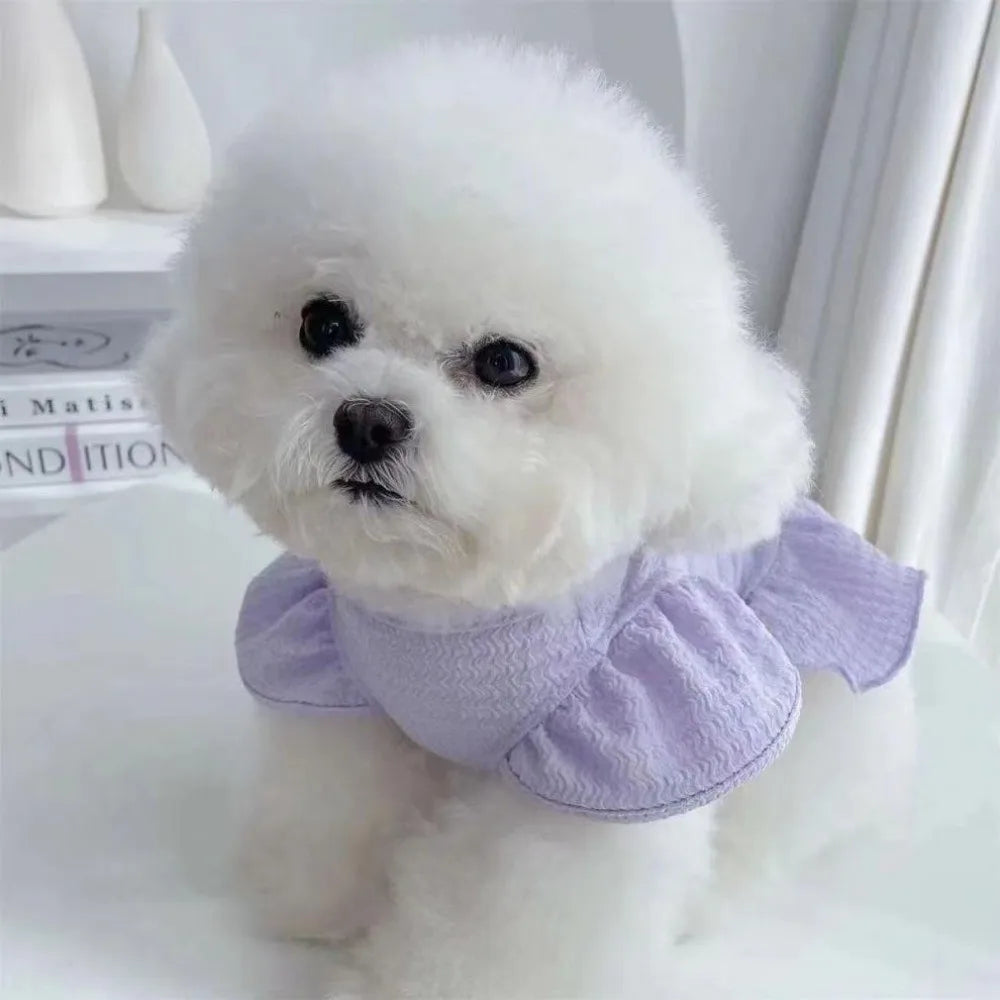 A fluffy white dog wearing a lavender pet dress with flutter sleeves.