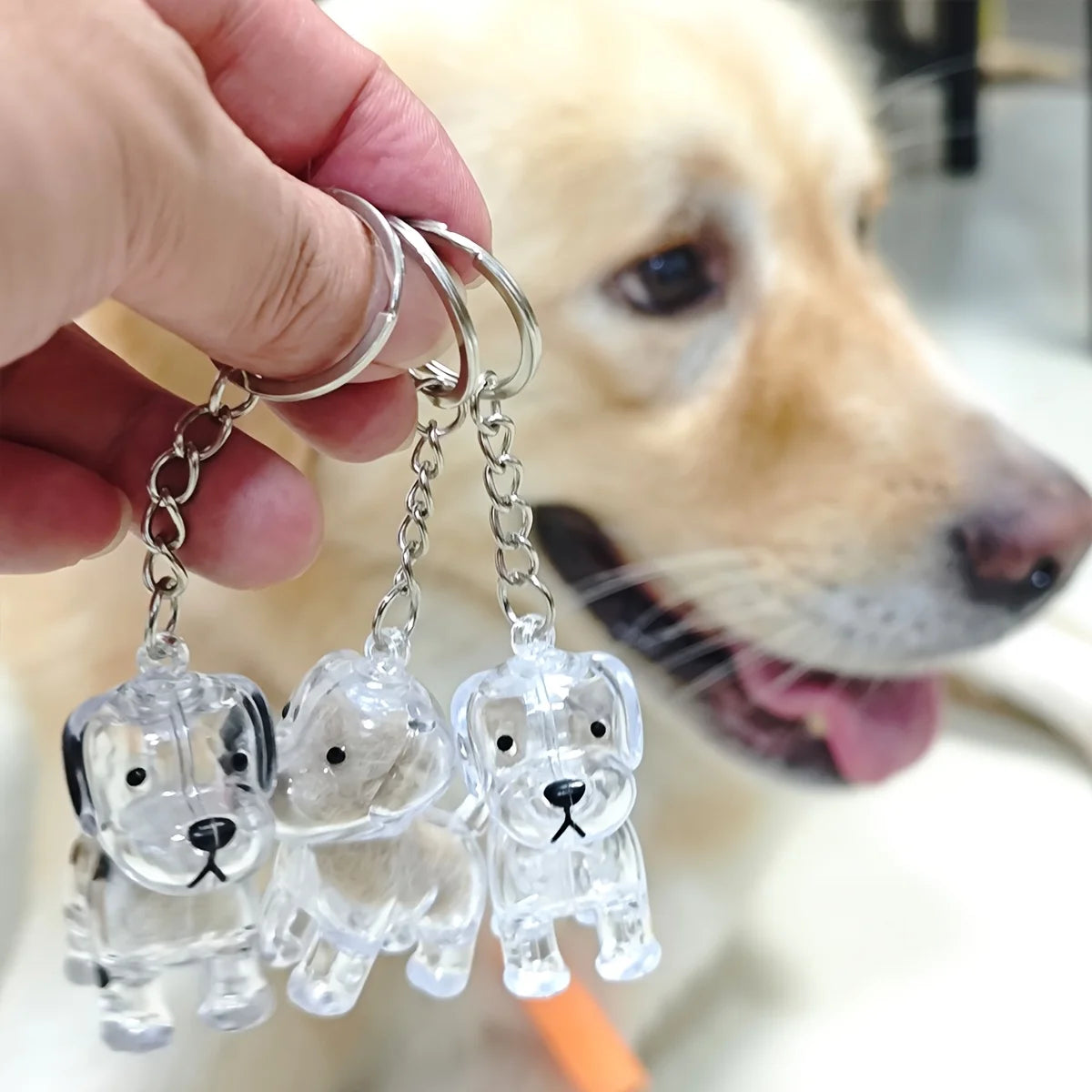 Pet Memorial Hair Keepsake Keychain with Transparent Storage Pendant