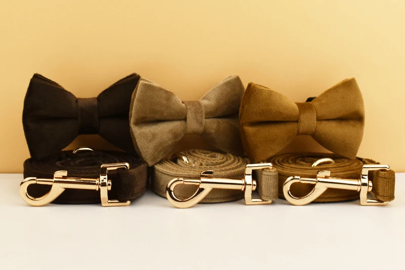Personalisiertes Halsband, Geschirr & Leine Set mit abnehmbarem Fliegenknoten