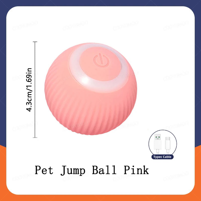 Pinkes Hundespielball mit einem Schalter oben, vor weißem Hintergrund.