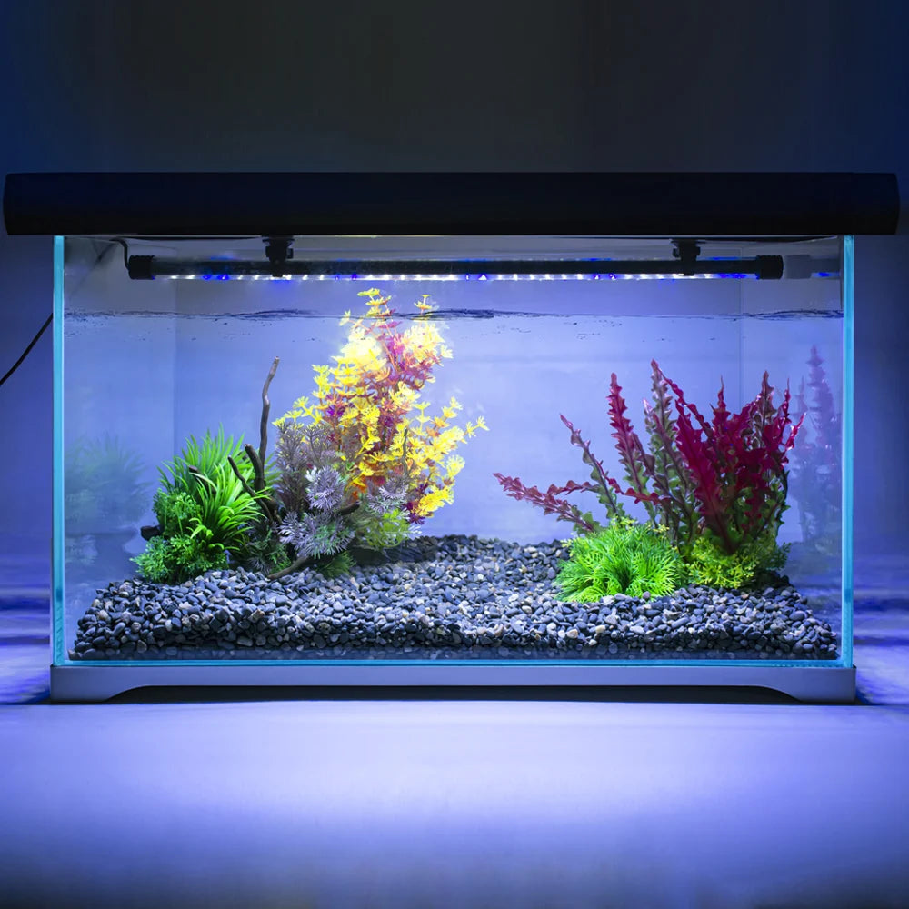 A clear glass aquarium featuring colorful aquatic plants illuminated by a blue LED light.