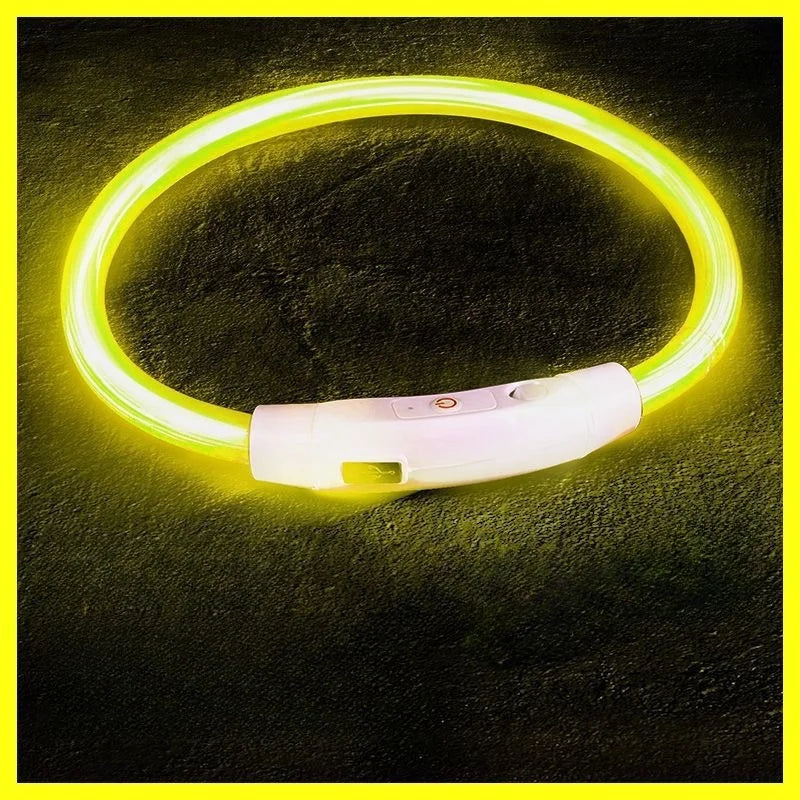 USB-aufladbarer LED-Hundehalsband