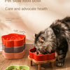 Ceramic Slow Feeder Bowl for Cats and Small Dogs