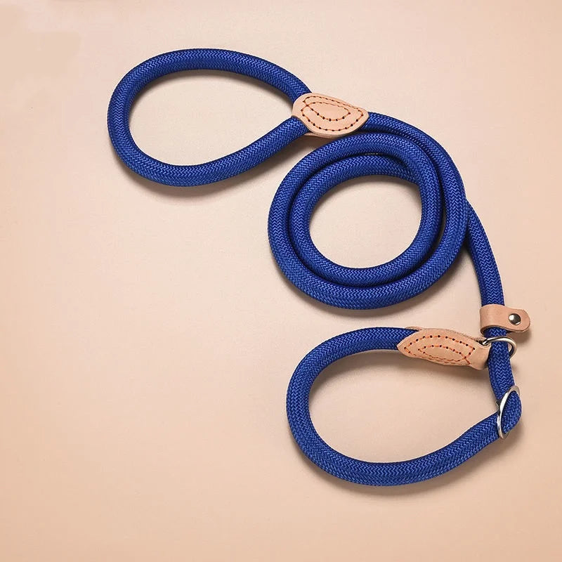 Robbe, verstellbare Nylon-Hundeleine