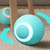 Automatischer interaktiver Hundespielball