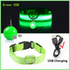 USB Charging Glowing Dog Collar with Pendant